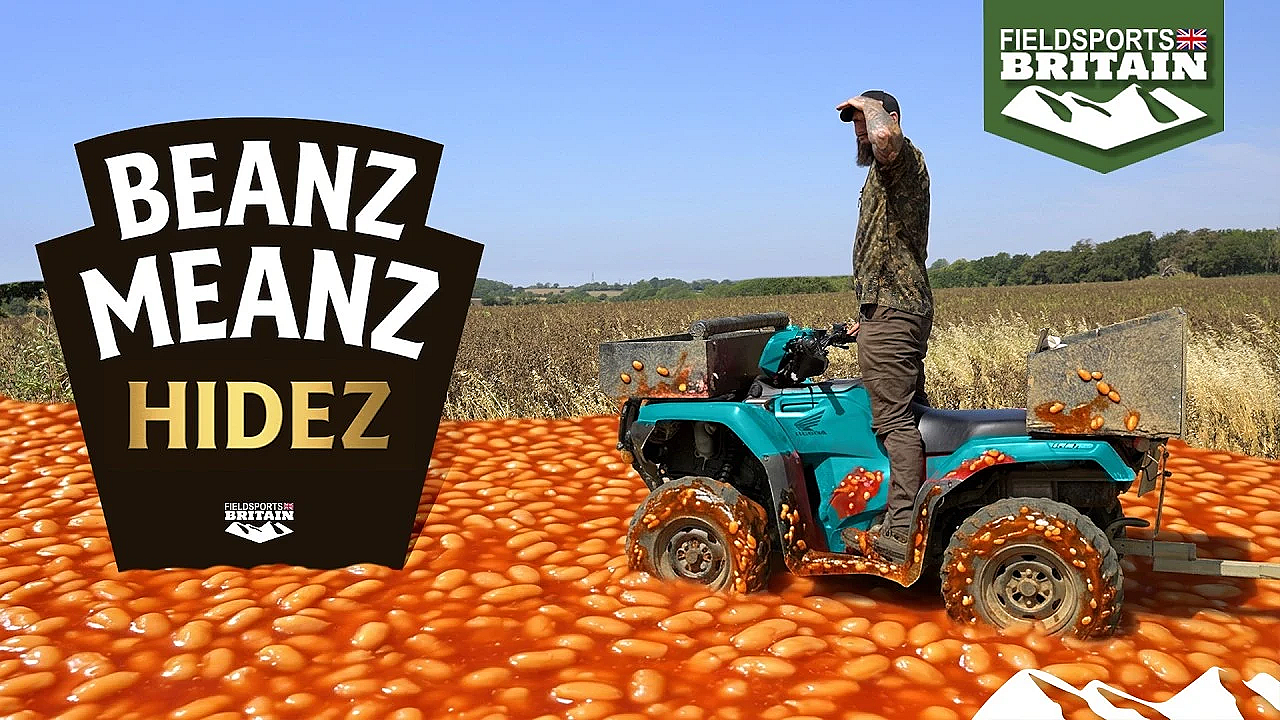 Beanz meanz hidez
