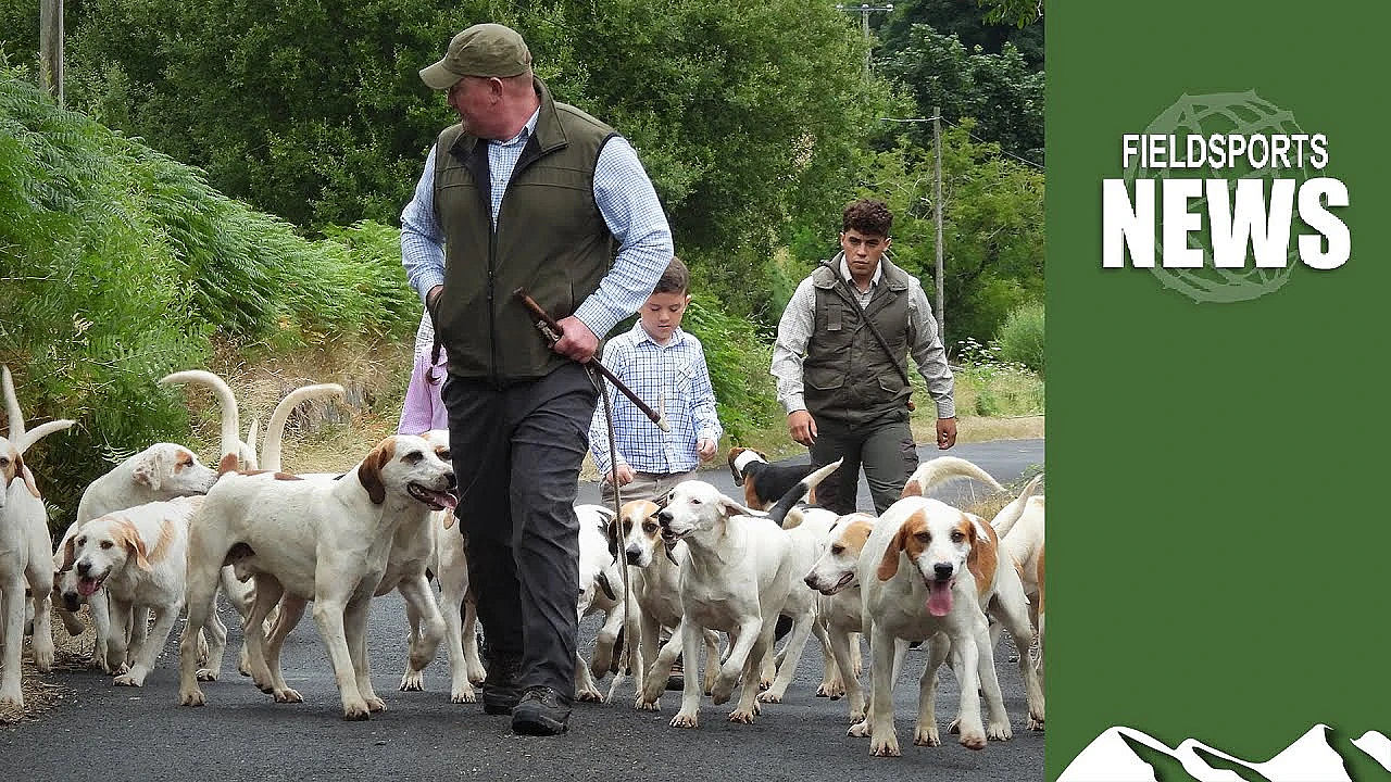 Northern Ireland Hunting Ban: The Story So Far