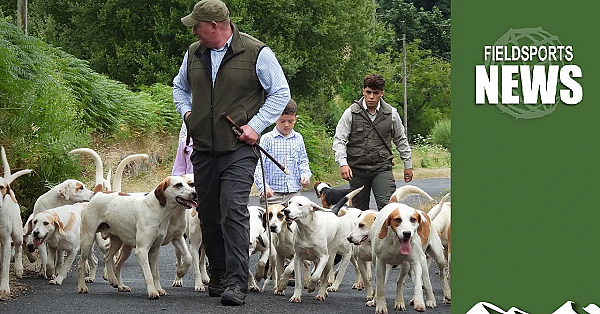 Northern Ireland Hunting Ban: The Story So Far