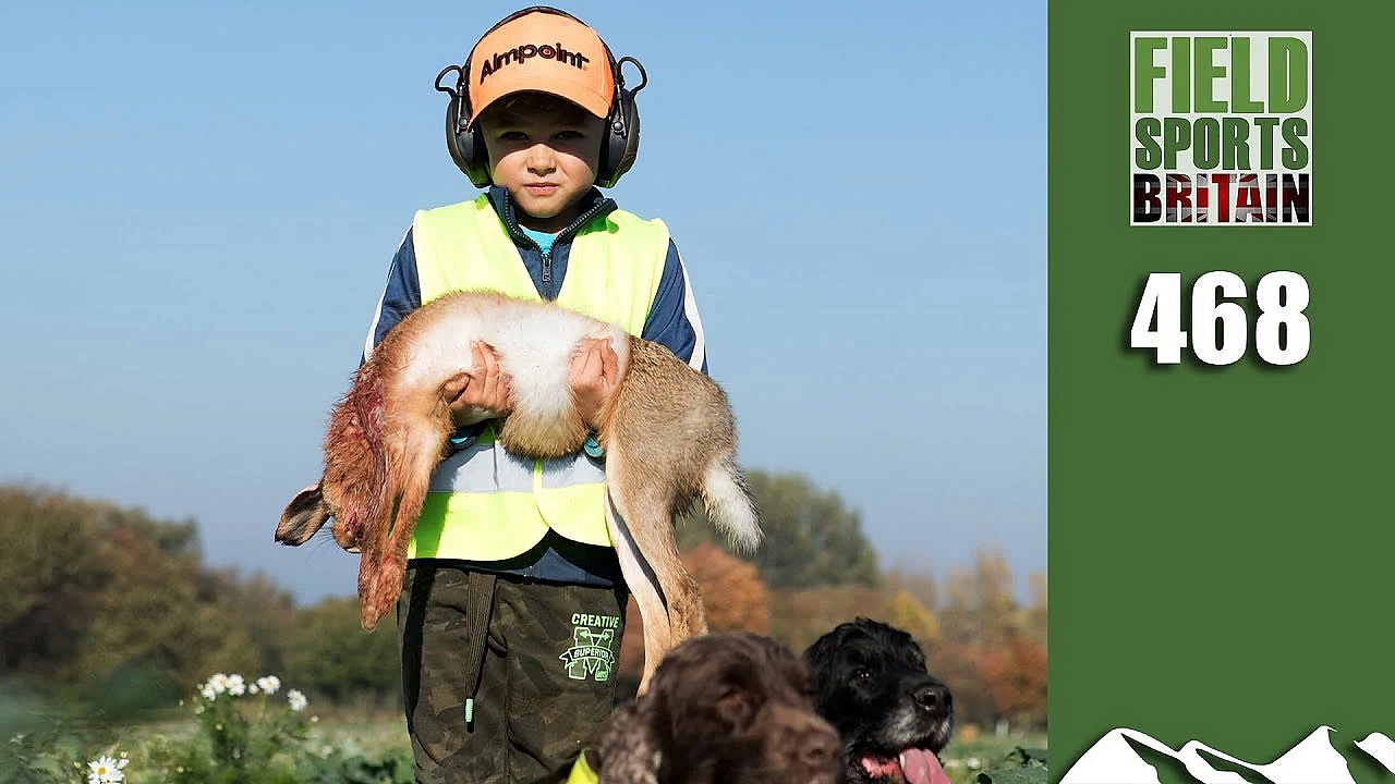 Fieldsports Britain - Where Hares And Pheasants Are Pests