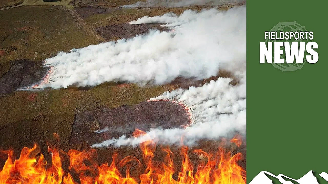 Moorland Burning - The True Story