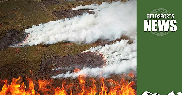 Moorland Burning - The True Story