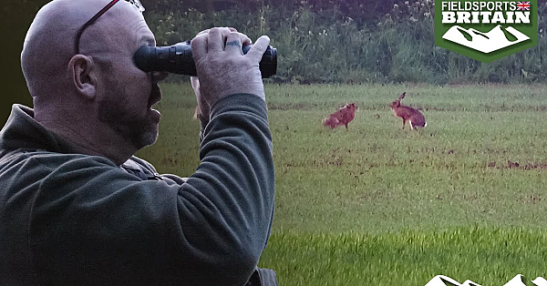 Shooting Hares To Control Poachers