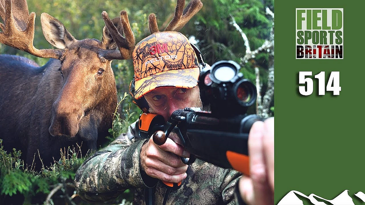 Fieldsports Britain - Helicopter Moose Hunt