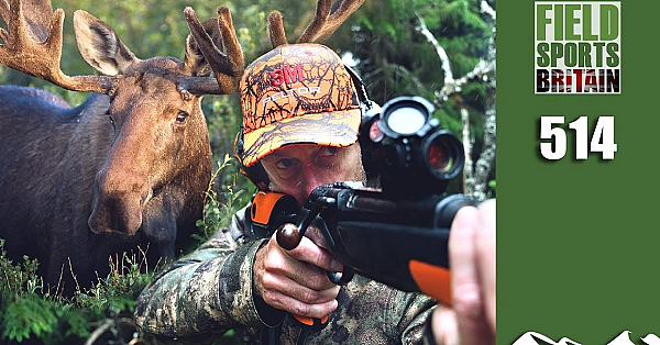 Fieldsports Britain - Helicopter Moose Hunt