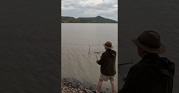 Catching Big African #catfish #fieldsportsbritain