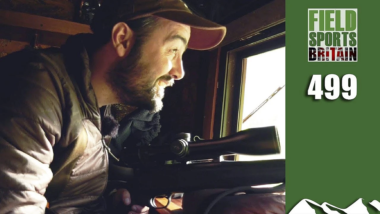 Fieldsports Britain - Wild Boar Meat Feast