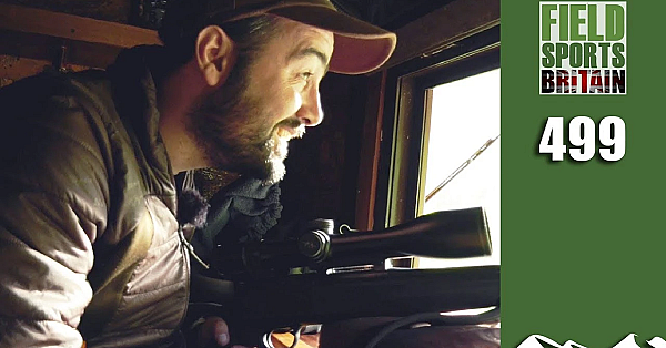 Fieldsports Britain - Wild Boar Meat Feast