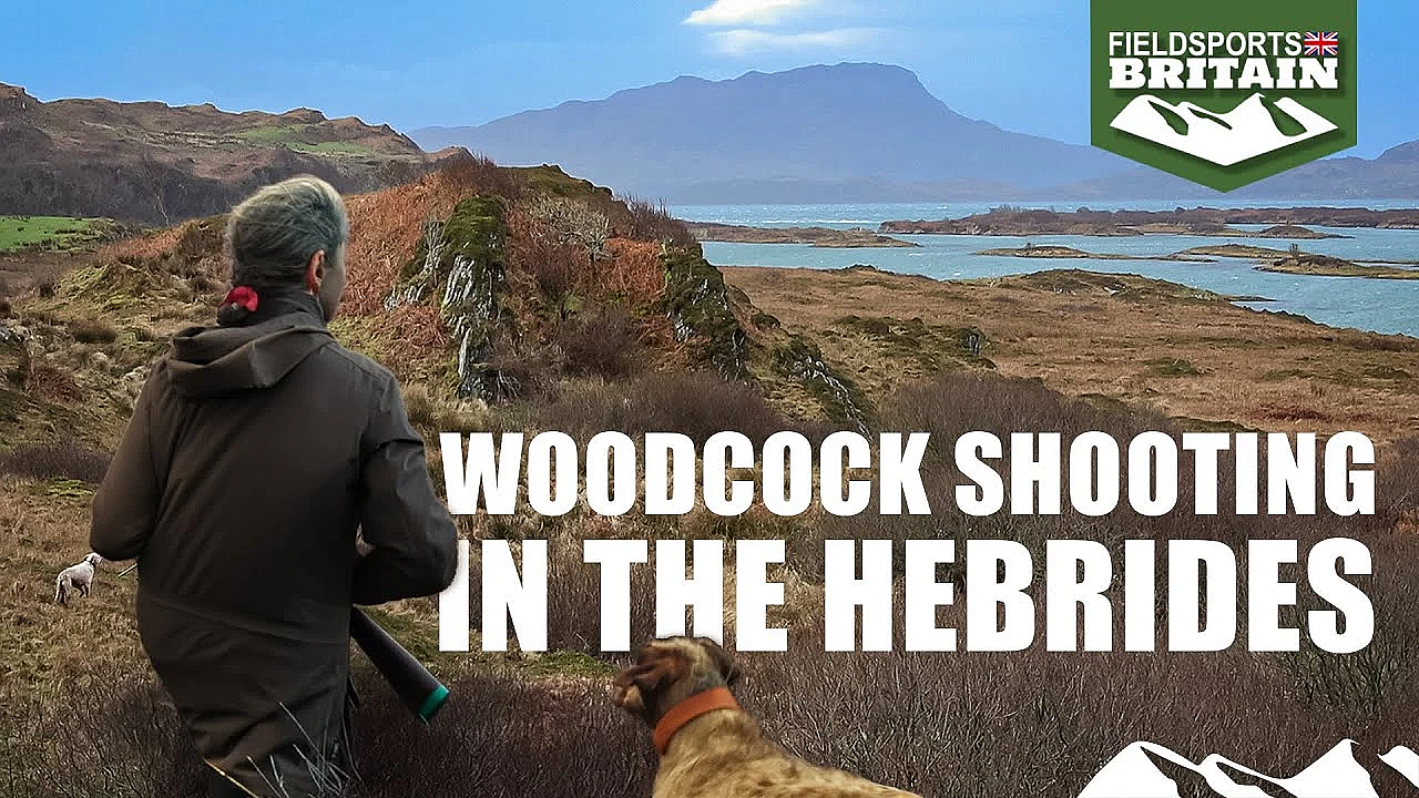Woodcock Shooting In The Hebrides