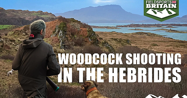Woodcock Shooting In The Hebrides