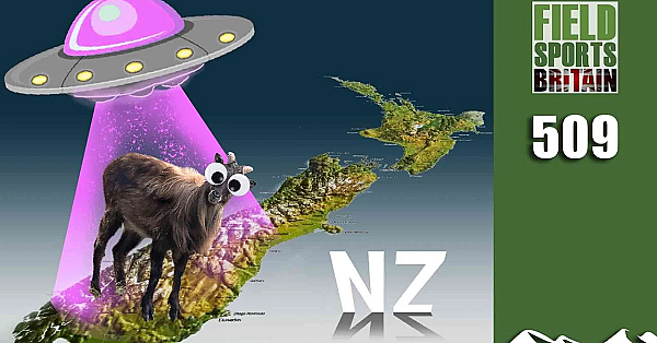 Fieldsports Britain - Tackling New Zealand's Alien Invasion