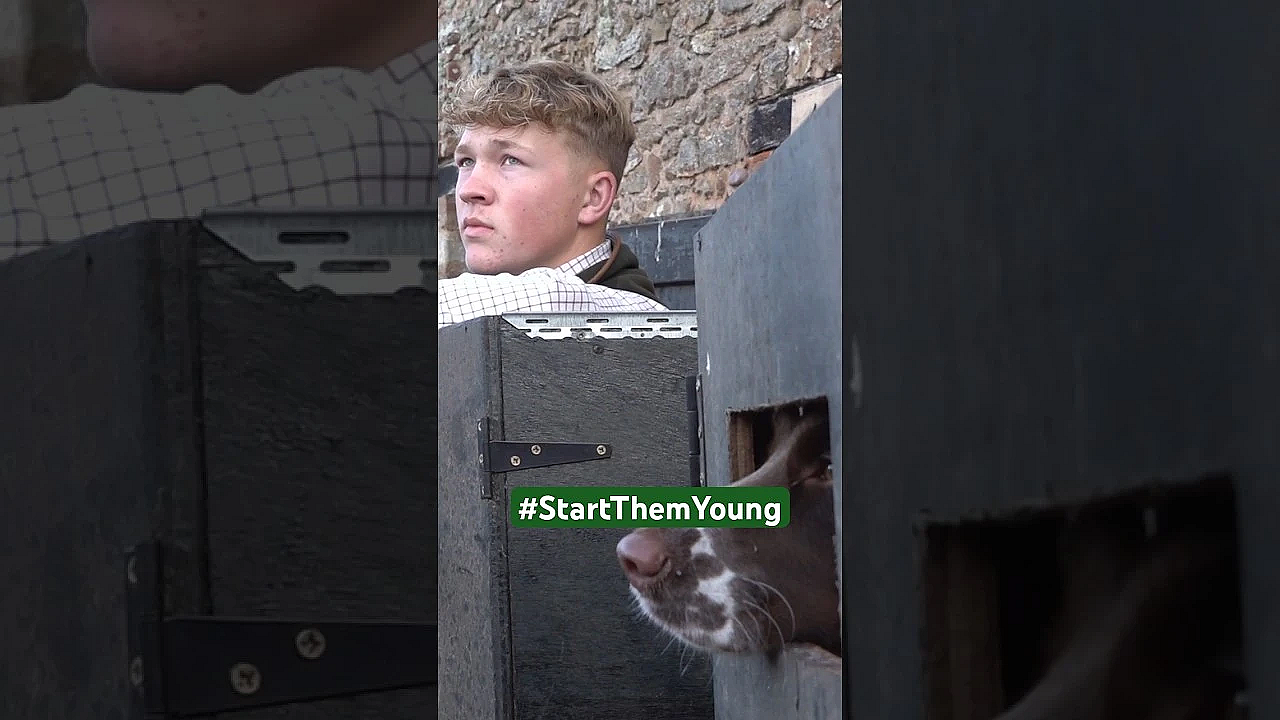 Young Shots' Free Pheasant Day. Watch Now: Https://youtu.be/5lihxpfxrpo