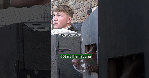 Young Shots' Free Pheasant Day. Watch Now: Https://youtu.be/5lihxpfxrpo