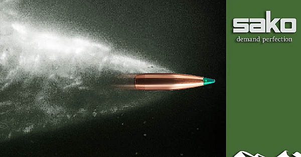 Bullet Finder: How To Choose The Right Hunting Ammunition