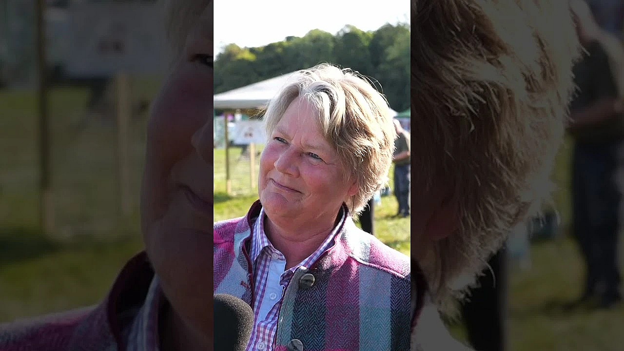 Hampshire Countryside Day 2024  #fieldsportsbritain #fieldsports