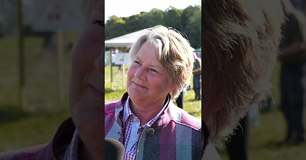 Hampshire Countryside Day 2024  #fieldsportsbritain #fieldsports