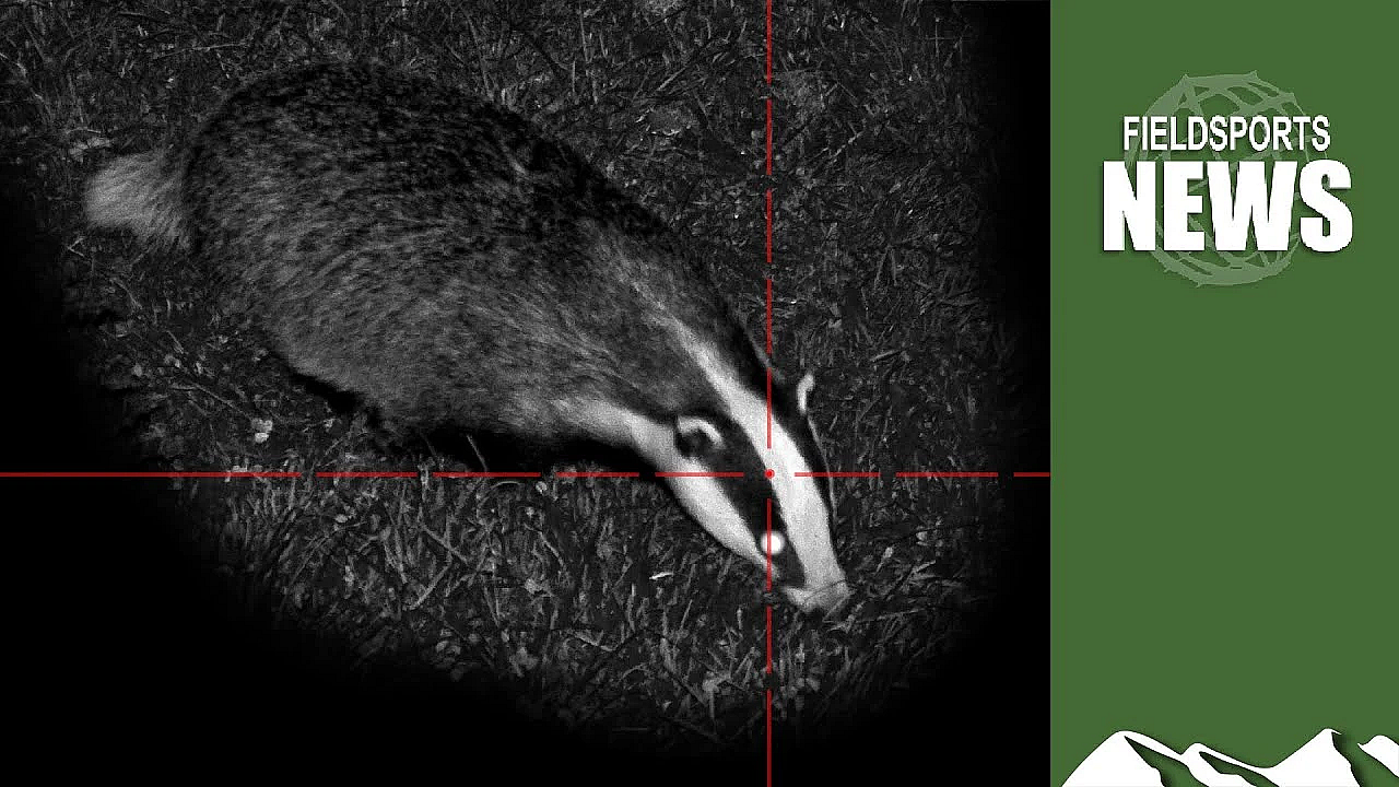Badger Cull Data Leak: What's Next And What Victims Should Do