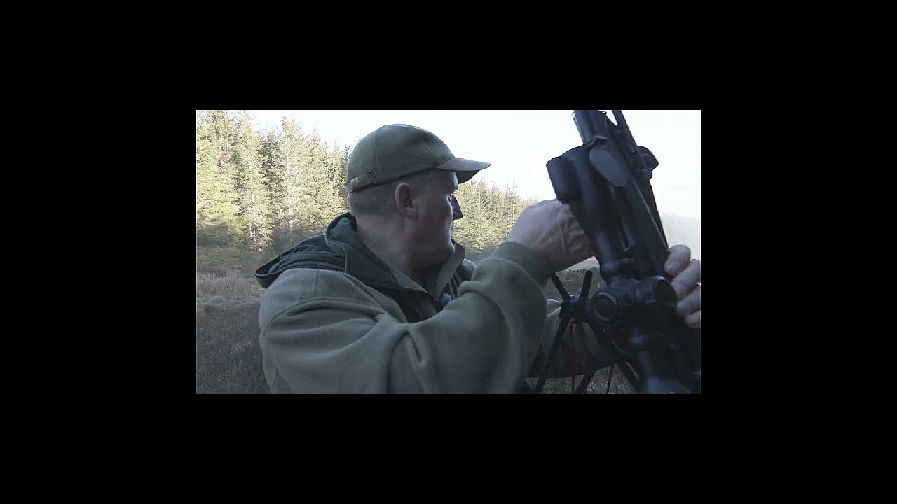 Niall Rowantree has a precise cull plan