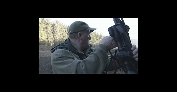 Niall Rowantree has a precise cull plan