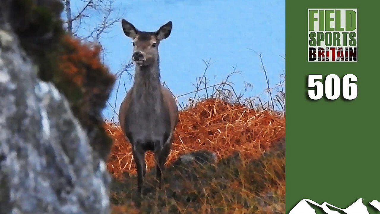 Fieldsports Britain - Hunting Beach Holiday