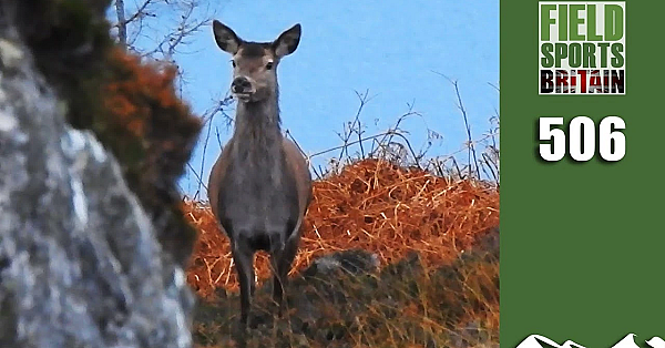 Fieldsports Britain - Hunting Beach Holiday