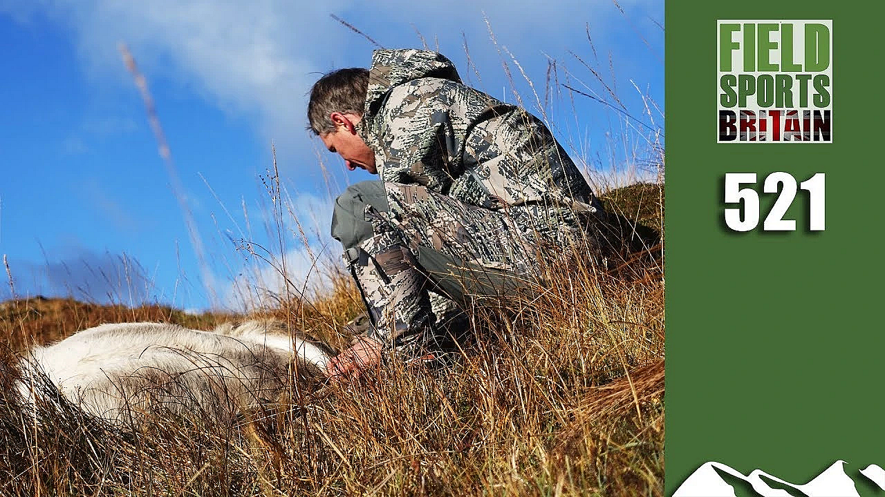 Fieldsports Britain - Scottish Deer Cull Crisis