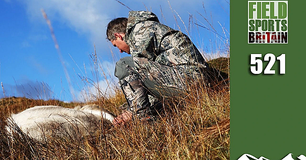 Fieldsports Britain - Scottish Deer Cull Crisis