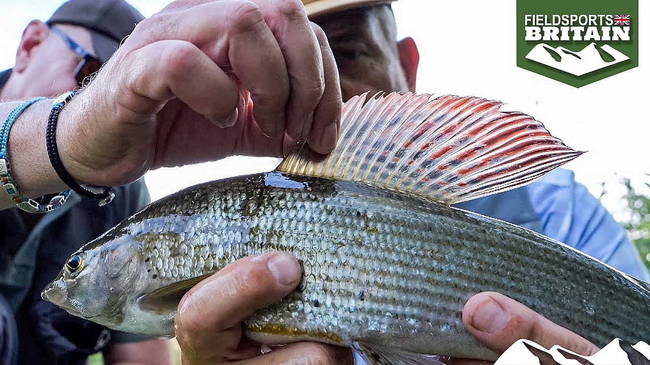Fishing Against Packham