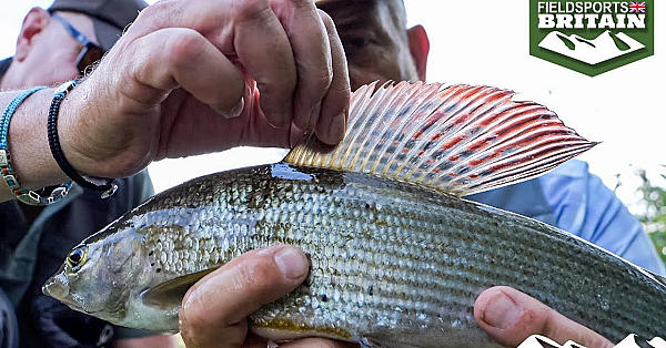 Fishing Against Packham