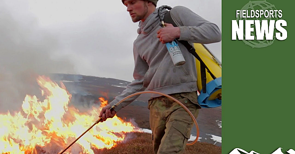 British Wildfire Season 2020