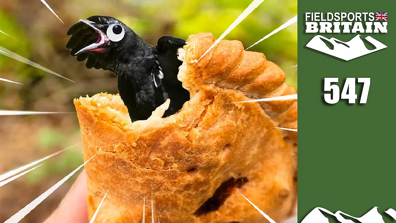 Fieldsports Britain - Four-and-twenty Blackbirds