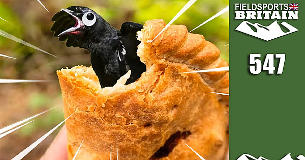 Fieldsports Britain - Four-and-twenty Blackbirds