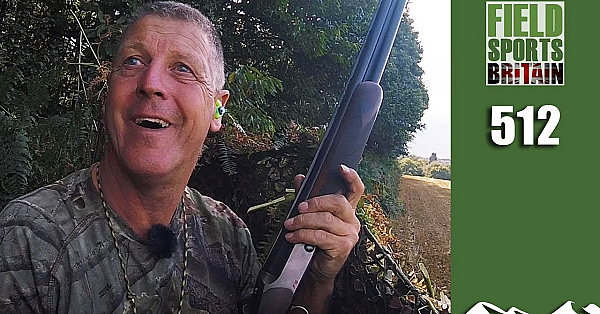 Fieldsports Britain - Crow's Pigeon Happy Place