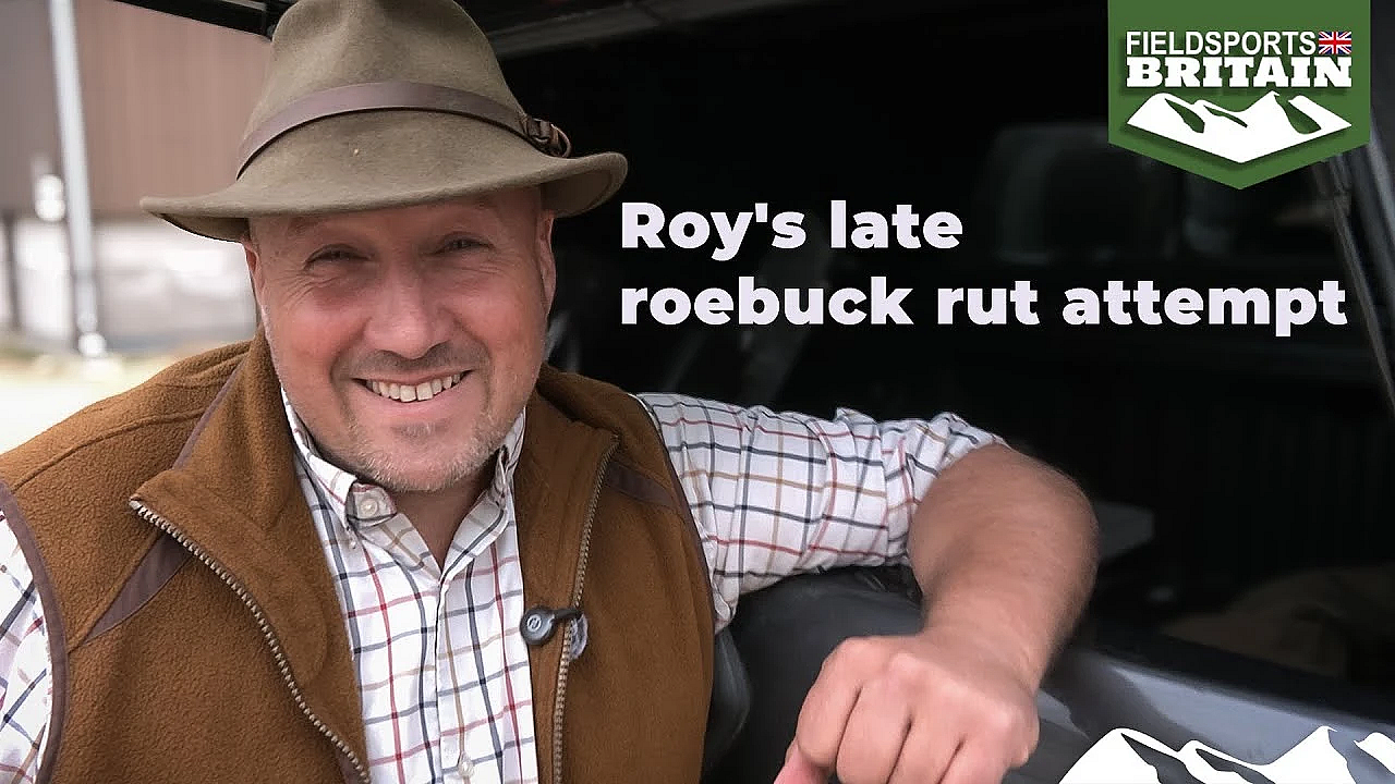 Roy's Late Roebuck Rut Attempt