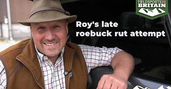 Roy's Late Roebuck Rut Attempt