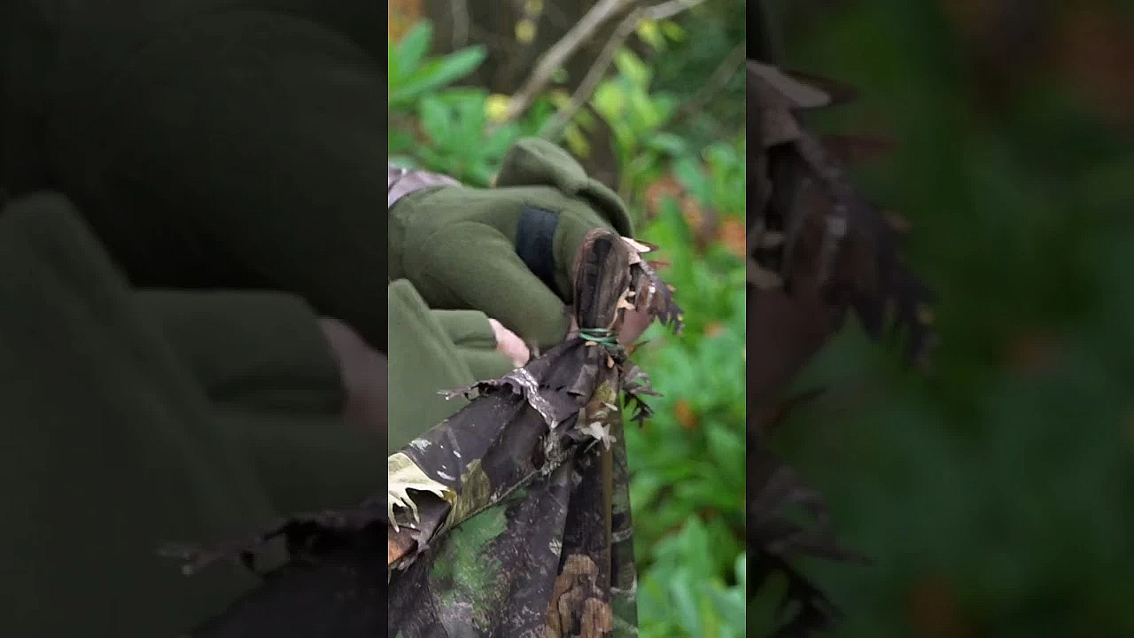 Top Tips For Building A #squirrel Hide