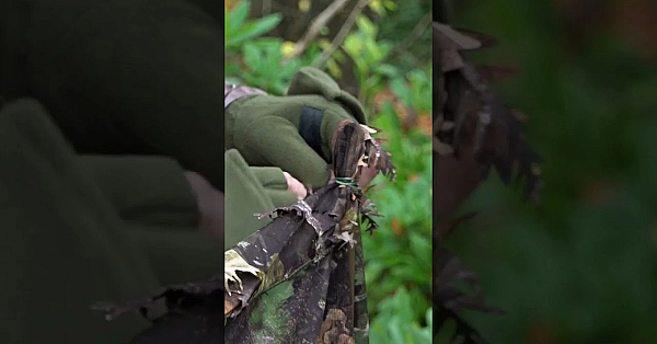 Top Tips For Building A #squirrel Hide