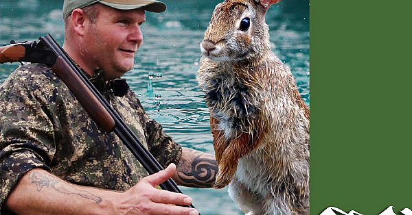 Rabbit Shoot: Rain Stops Play