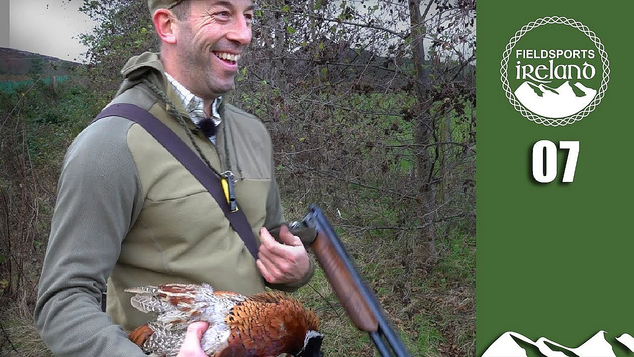 Wonderful Walked-up Pheasants  - Fieldsports Ireland, Episode 7
