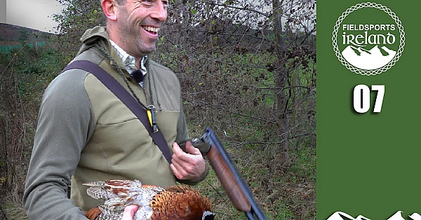 Wonderful Walked-up Pheasants  - Fieldsports Ireland, Episode 7