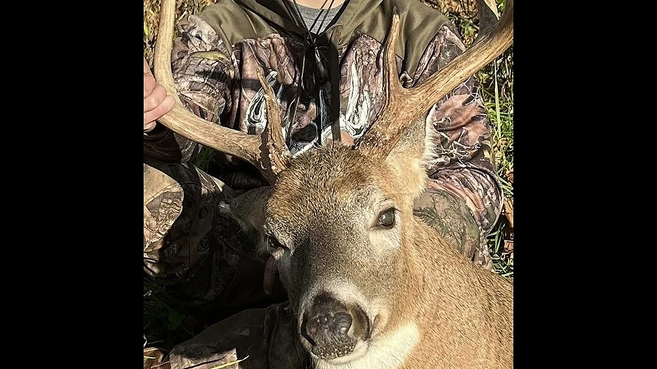 Poacher ordered to apologise on TikTok