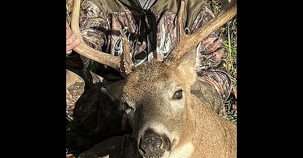 Poacher ordered to apologise on TikTok