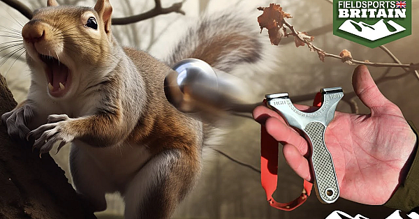 Squirrel Hunting With A Catapult