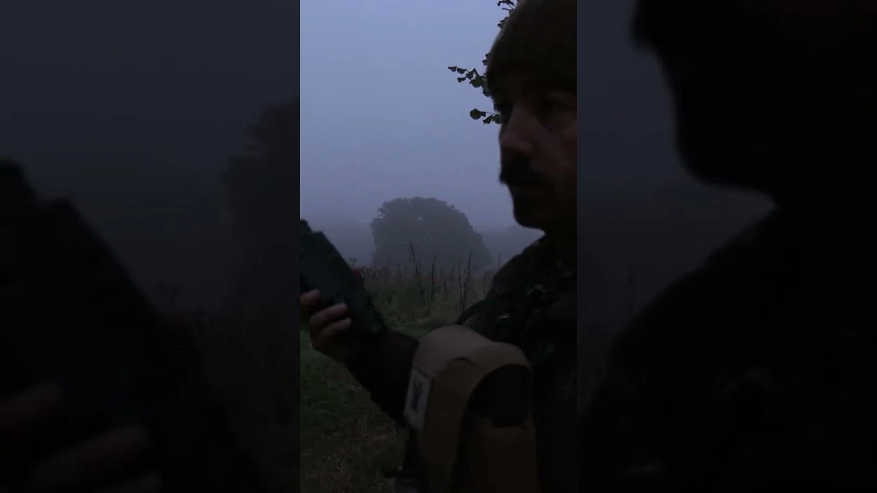 Stalking Fallow For The Freezer  #fieldsportsbritain