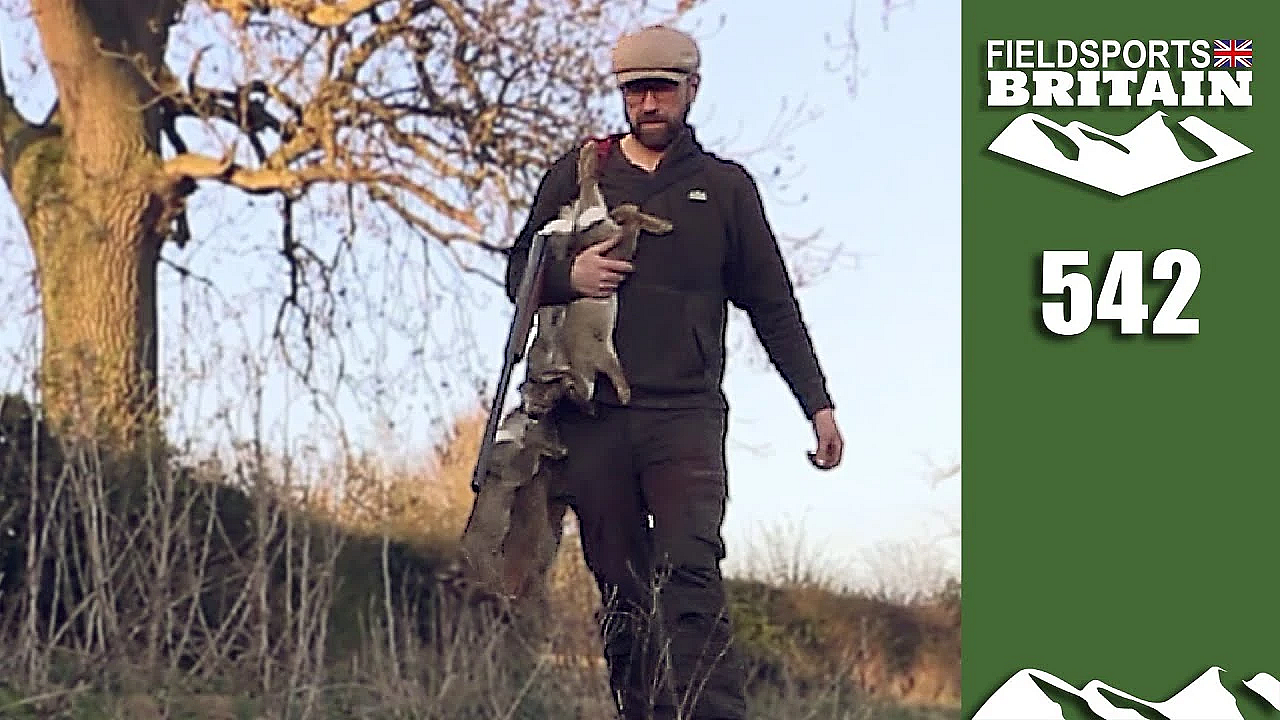 Fieldsports Britain - Steel-proof Rabbits