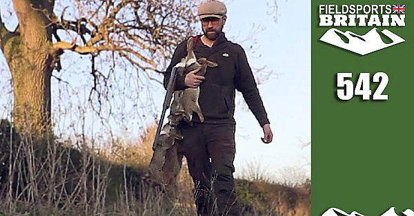 Fieldsports Britain - Steel-proof Rabbits