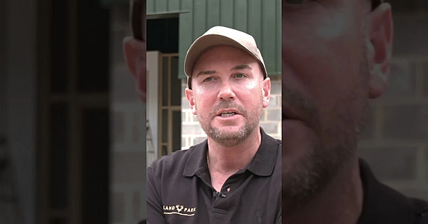 Decoying Without Decoys  #fieldsportsbritain