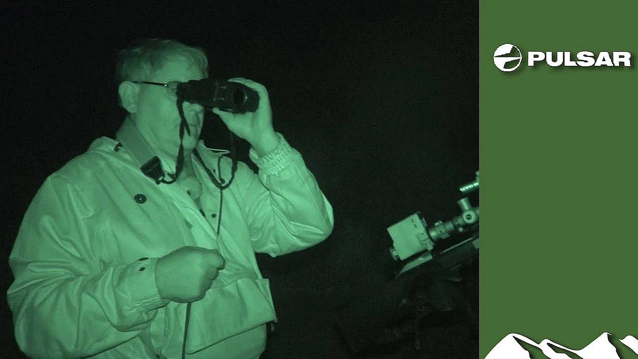 Thieving Foxes In The Crosshairs