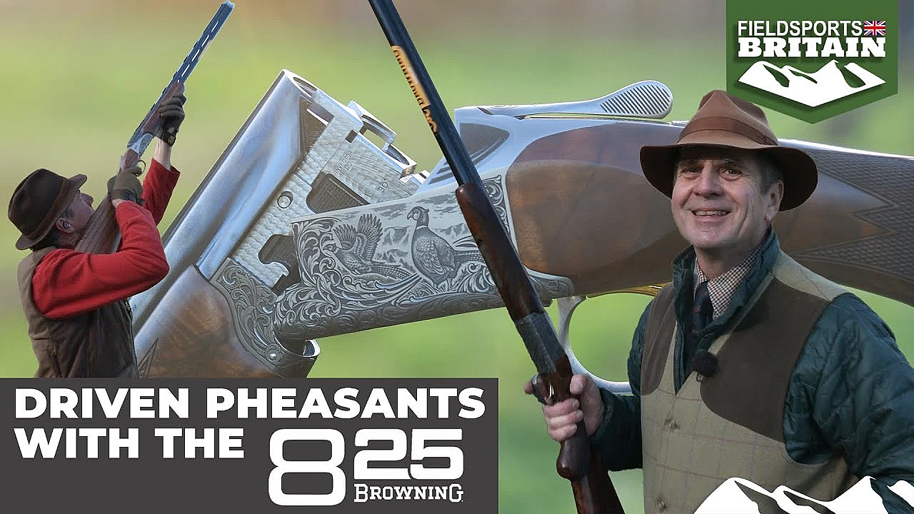 Driven Pheasants With The Browning 825