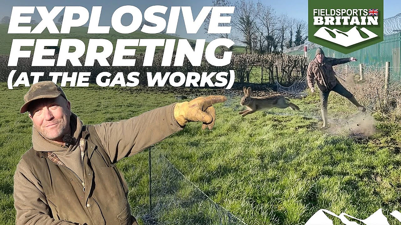 Explosive Ferreting (at The Gas Works)
